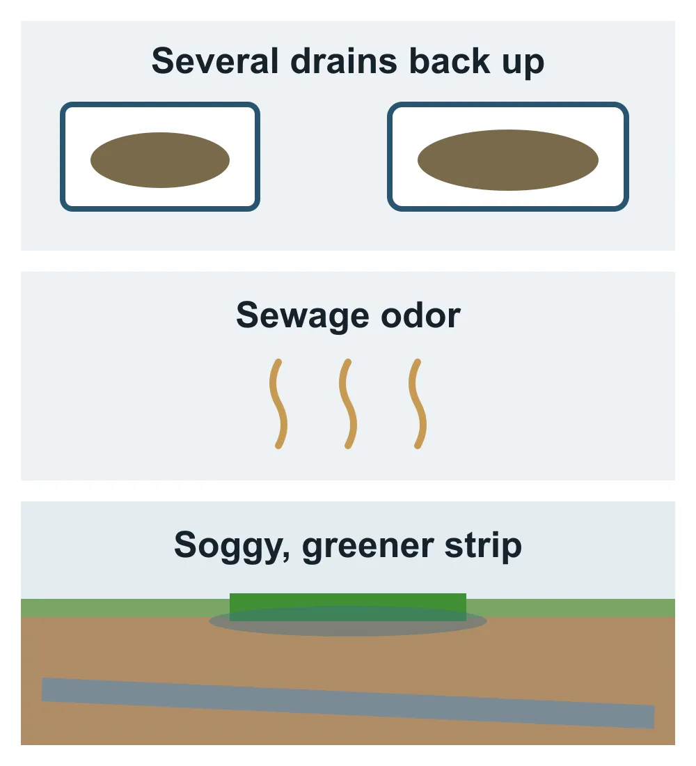 Signs that you need sewer line repair